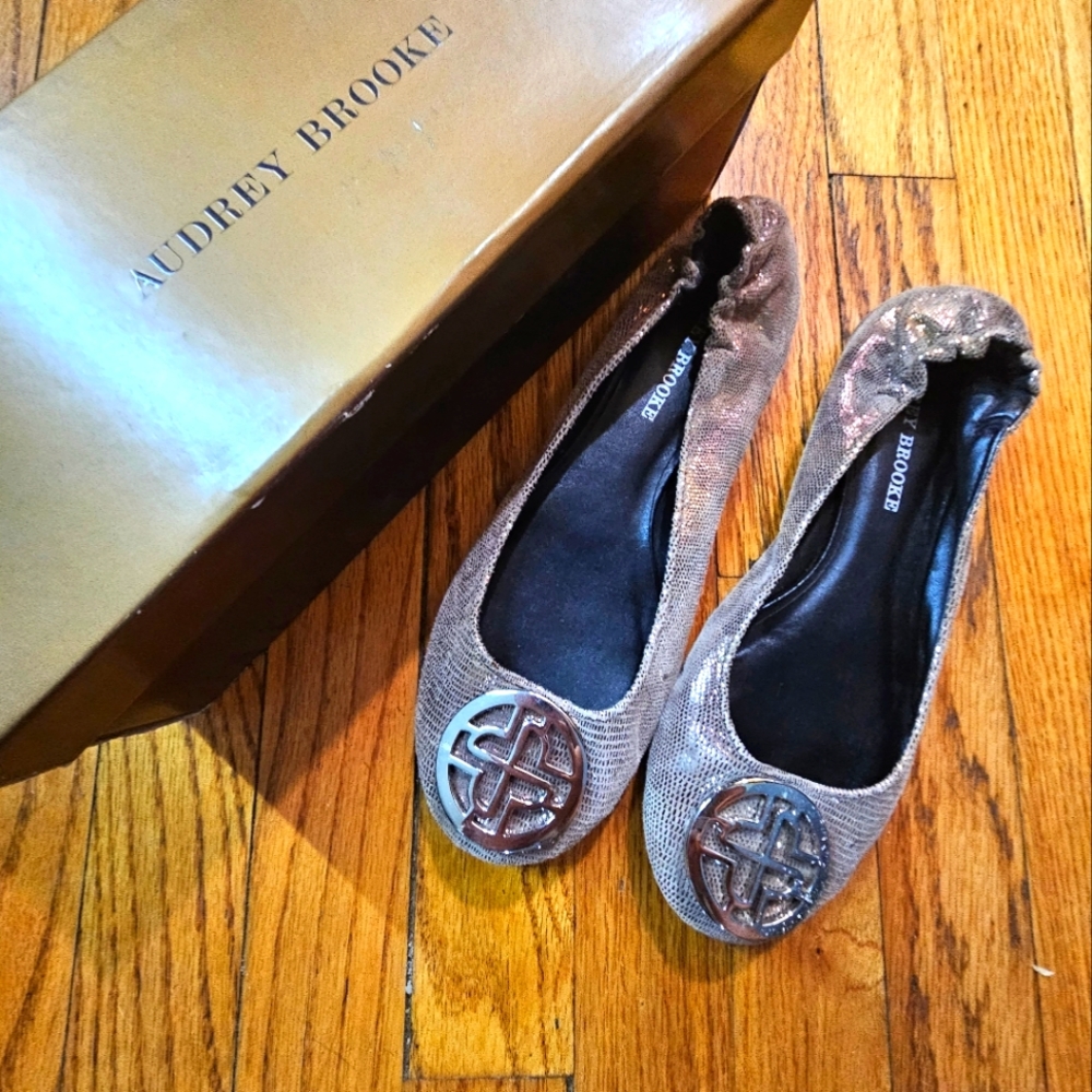 Leather Ballet Flat Mint Conditio